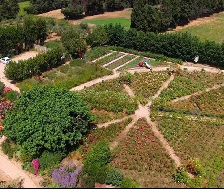 photo aérienne roseraie