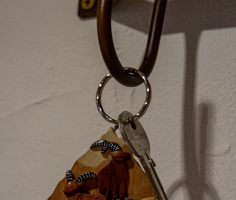 La chambre : Thème la chèvrerie