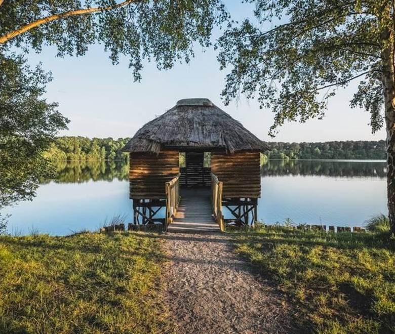 Gruellau-2-Teddy-Verneuil