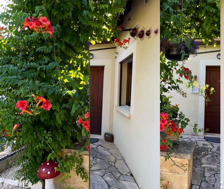 l'entrée de la maison