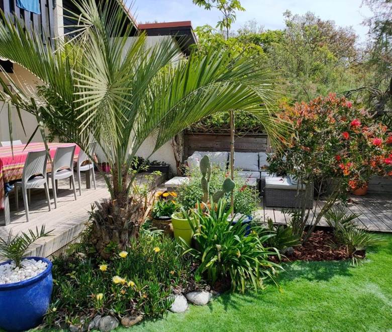 Jardin 6