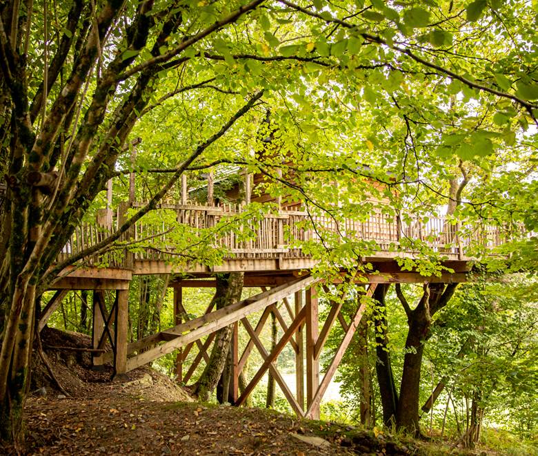 Baudet_d_Ane_Portes_Ouvertes (62)