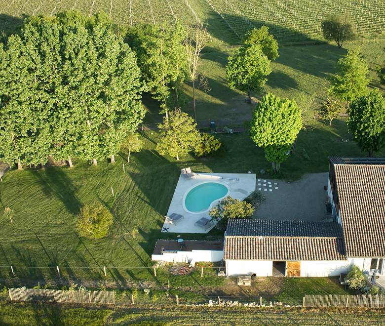 NID DU COUCOU FACE ARRIERE