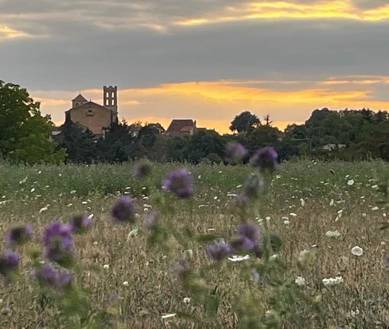 Vue du village