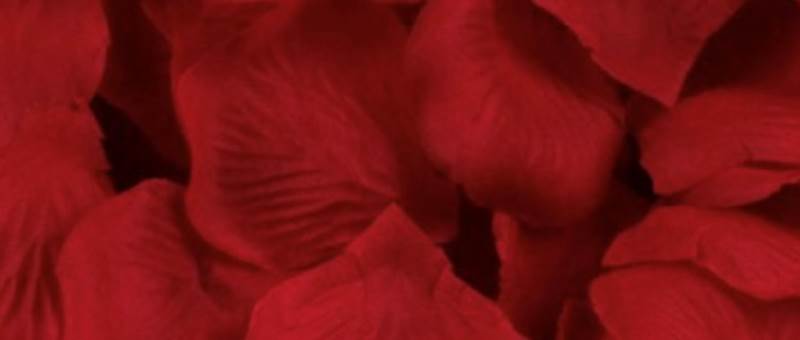 Capture d’écran 2025-06-18 à 23.10.55