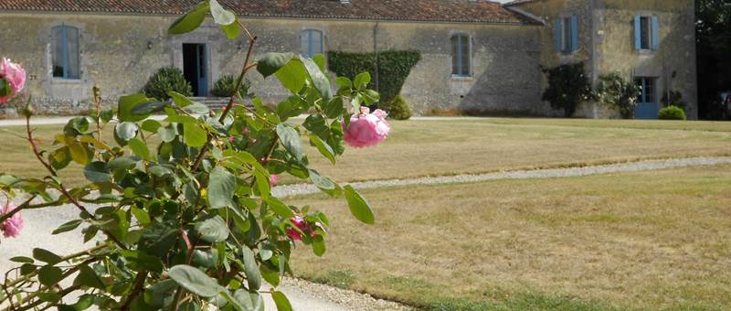 Plaisir de roses, l'Astrée