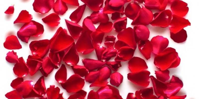 petales-de-roses-options