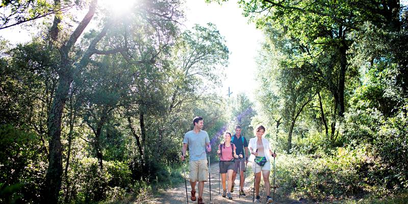 la_pinede_amelie_02-presta