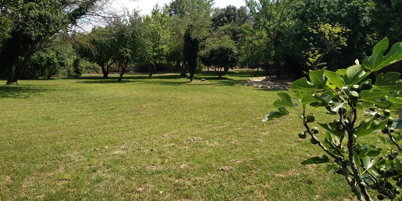 20230607_123852-presta