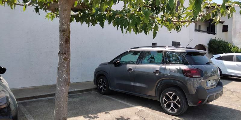 IMG20250810133853-options