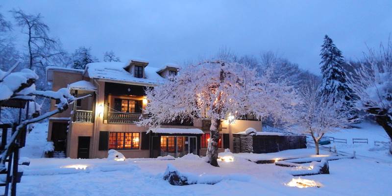 DSCN1322-special-offer