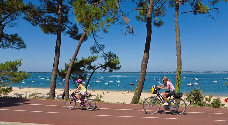 141843207-img-around