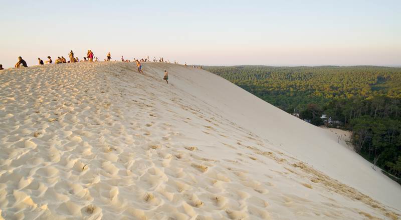 108821169-img-around