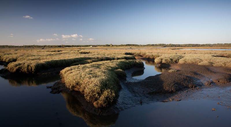 Certes-Graveyron-2-1-img-around