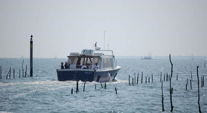 c32d6298-7734-435f-9051-535bb80bdaa9-img-around