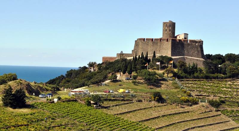 ce2d14aa-c1ca-42d8-a138-064bf5570e9f-img-around