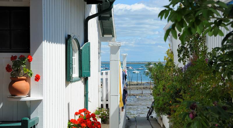 127061616-img-around