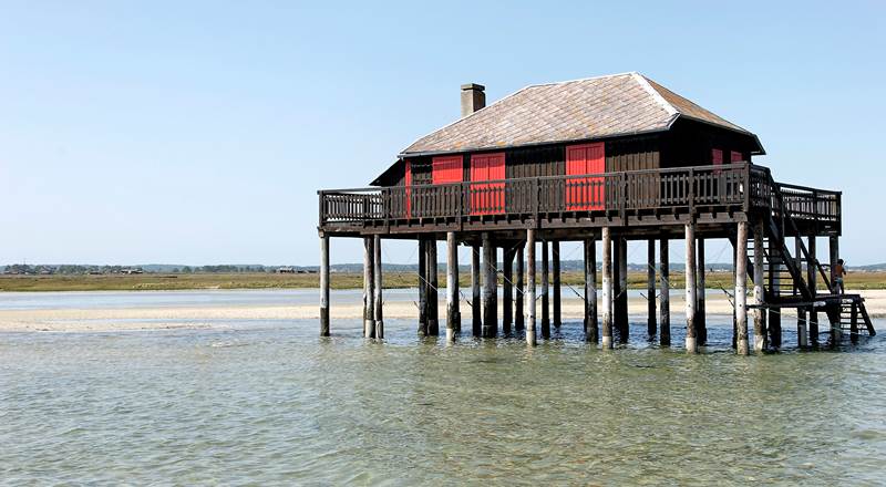 157892599-img-around