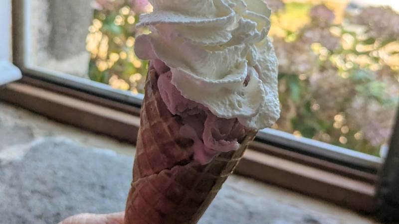 Glace   Fermière Bio   en cornet