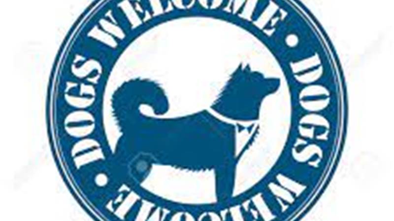Dogs welcome