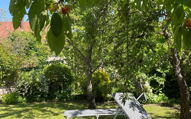 à l'ombre sous les cerisiers