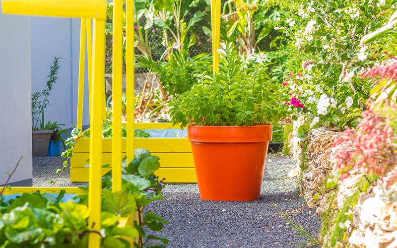 Villa Lagon jardin Nord