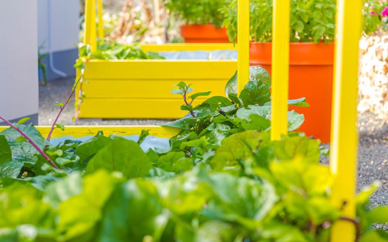 Iguane House villas & Micro Spa Villa Passion détail jardin paysagé nord