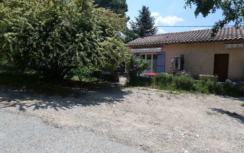 belle vue exterieure écureuils printemps