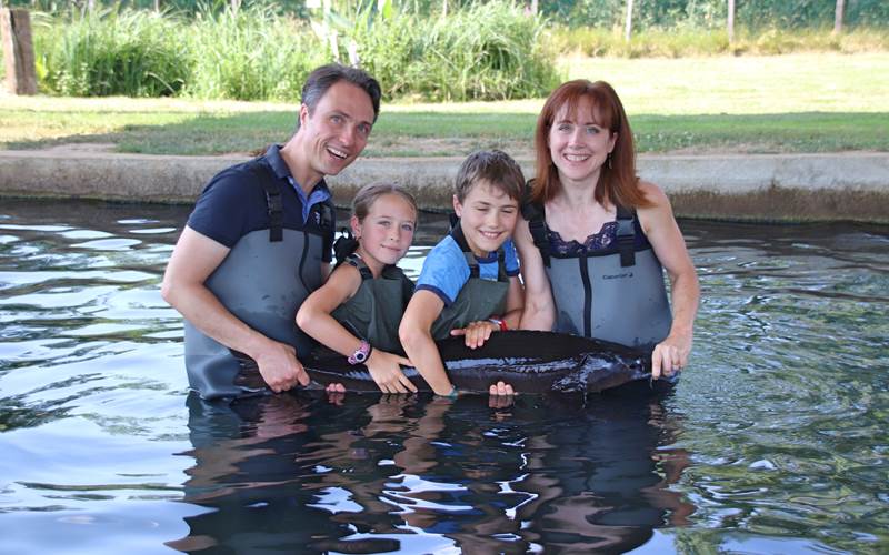 IMG_0751-photo-around