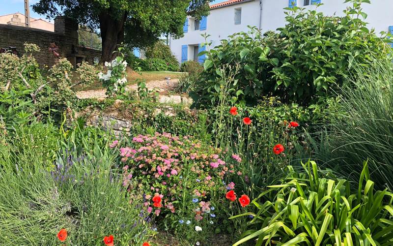 Vue du jardin