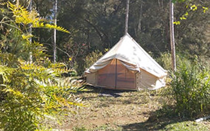 2089fe_3b2ed1a11b24487b945f4311cb28ea87~mv2