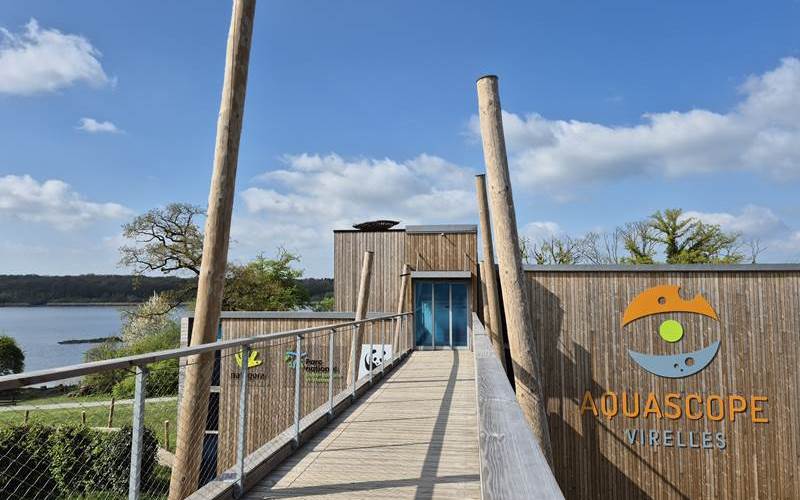 Aquascope Virelles