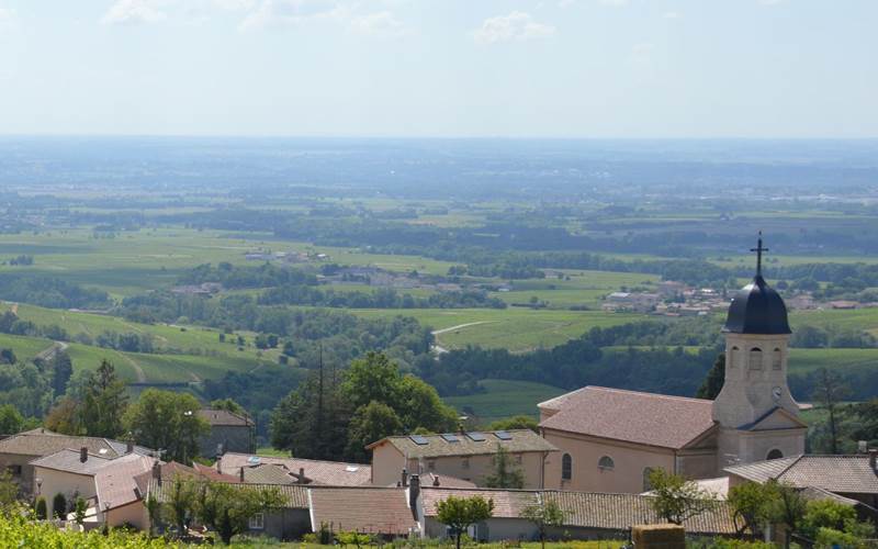 Vue Panoramique