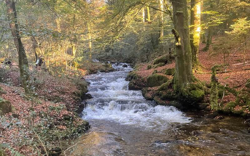 Domaine Pâquerettes et Pissenlits cascades d' Augerolles