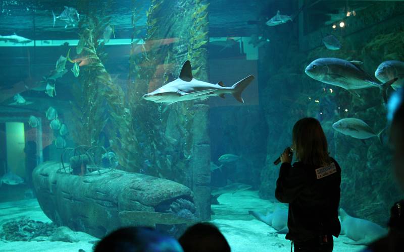 IMG_4452-photo-around