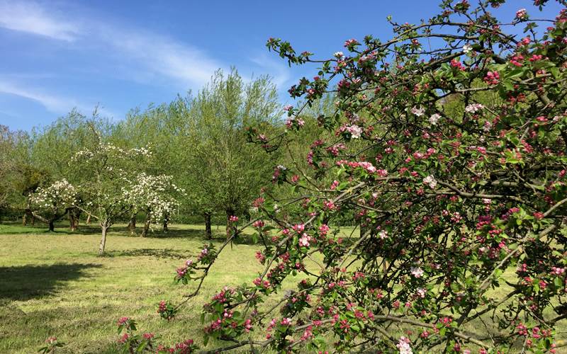 niché dans un hectare de verdure