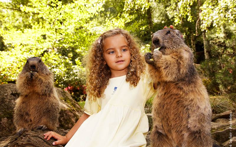 nourrissage-marmottes-parcanimalierdespyrenees-photo-around