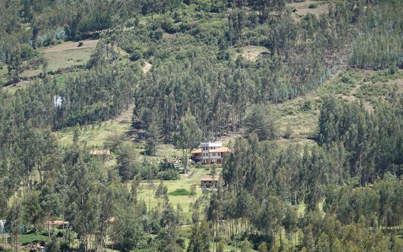 Copacabaña es NATURALEZA PURA