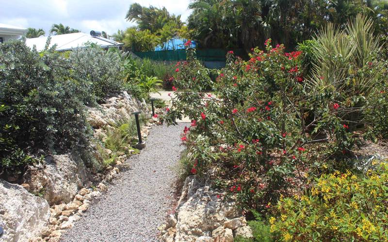 Iguane House villas & Micro Spa Villa Corail allée du jardin paysagé