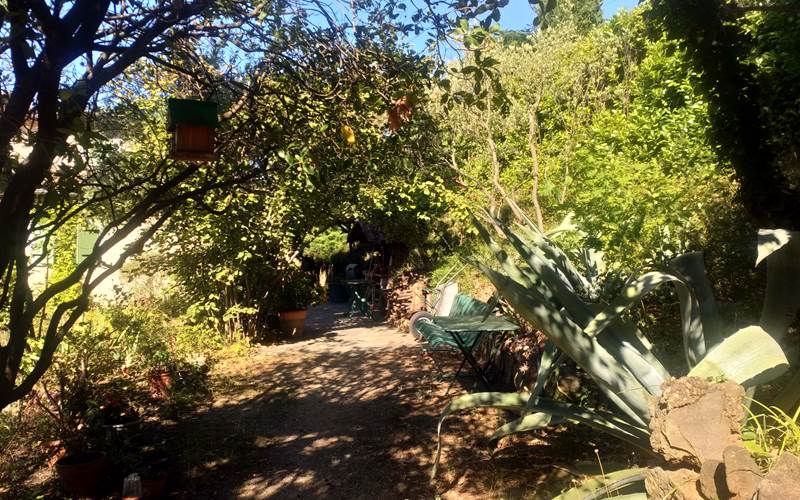 Le Jardin