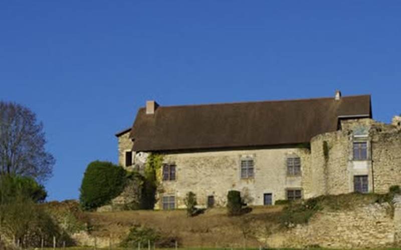 Vue du château depuis le village