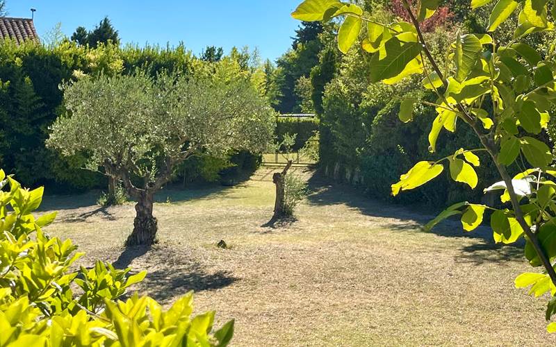 Vue du jardin côté cour intérieure