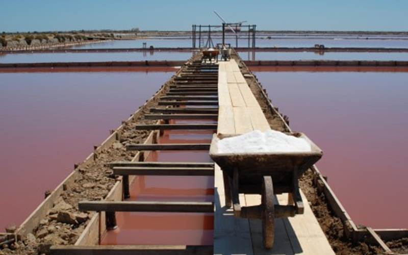 50481236-a60e-4e1f-9792-3c87d0b7256f-photo-around