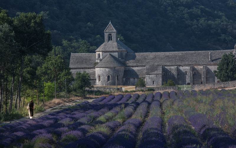 Abbaye de Sénanque-photo-around