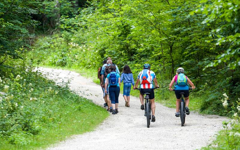 gîte familial convivial et de regroupement d'amis en ardèche rhone alpes pde 16  à 24 personnes.