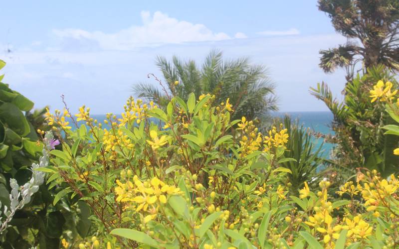 Villa Lagon jardin d'ornement puis vue mer