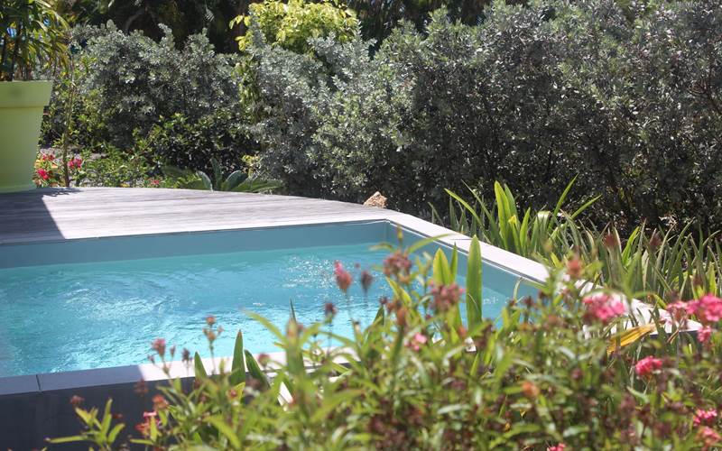 Iguane House villas & Micro Spa piscine Villa Lagon