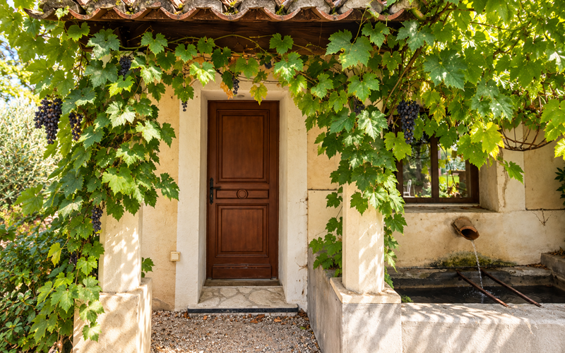 "L'entrée de la chambre, à l'ombre de la vigne, dans l'atmosphère paisible du Mas"