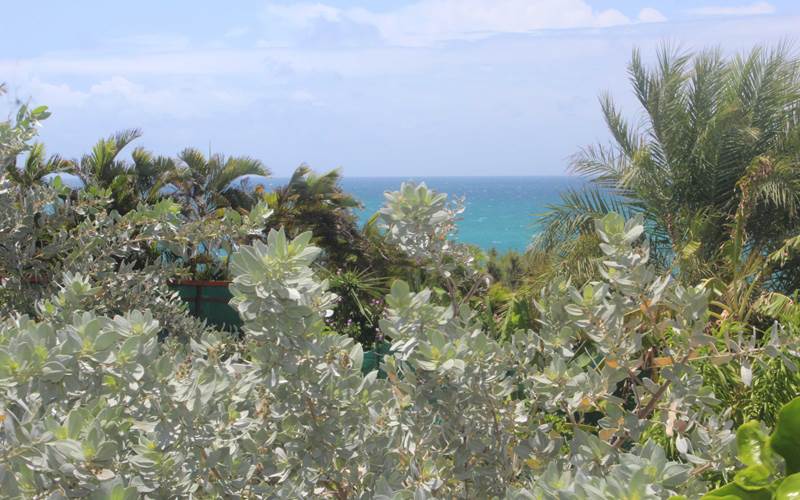 Iguane House villas & Micro Spa Villa Mangrove vue jardin et mer