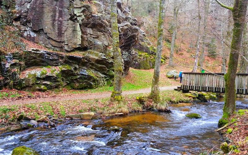Domaine Pâquerettes et Pissenlits Gorges du Vergers